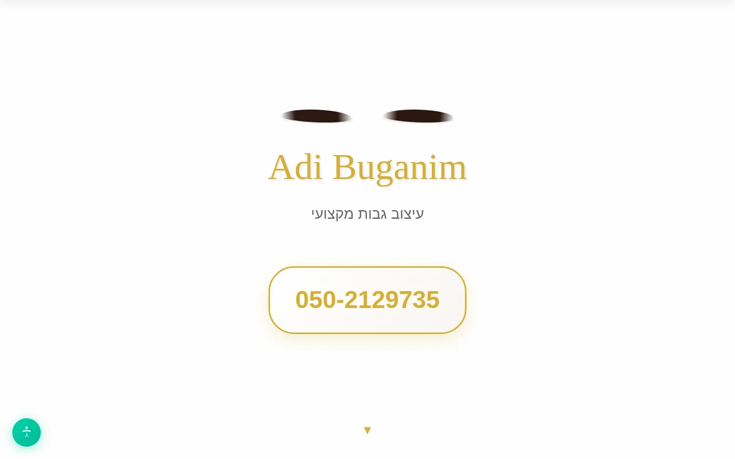 עדי בוגנים - צילום מסך